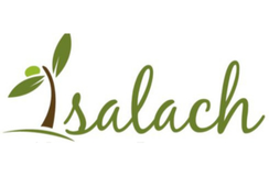 Salach